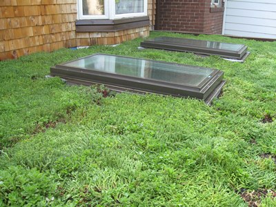 Two weeks later, the green roof looks great!