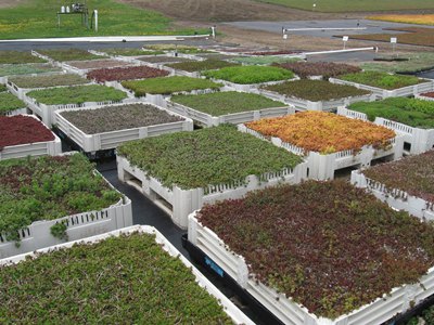 Sedum Master, our green roof supplier